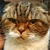 Profile picture small