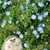 Profile picture small