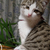 Profile picture small