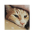 Profile picture small