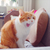 Profile picture small