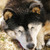 Profile picture small