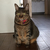 Profile picture small