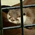 Profile picture small