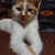 Profile picture small
