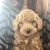 Profile picture small