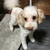 Profile picture small