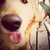 Profile picture small