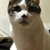 Profile picture small