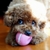 Profile picture small