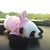 Profile picture small