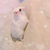 Profile picture small