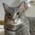 Profile picture small
