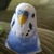 Profile picture small