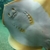 Profile picture small