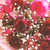 Profile picture small