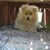 Profile picture small