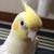 Profile picture small