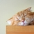 Profile picture small