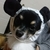 Profile picture small