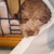 Profile picture small