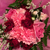 Profile picture small