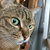Profile picture small