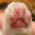 Profile picture small