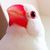 Profile picture small