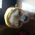 Profile picture small