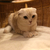 Profile picture small