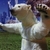 Profile picture small