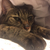 Profile picture small