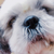 Profile picture small