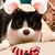 くう