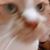 Profile picture small