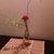 まいまい