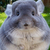 Profile picture small