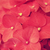 Profile picture small