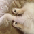 Profile picture small
