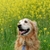 Profile picture small