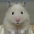 Profile picture small