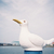 Profile picture small