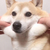 Profile picture small