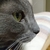 Profile picture small