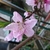 Profile picture small