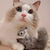 Profile picture small