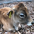 Profile picture small