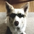 Profile picture small