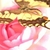 Profile picture small
